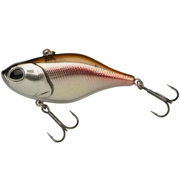 Smelt