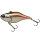 Smelt