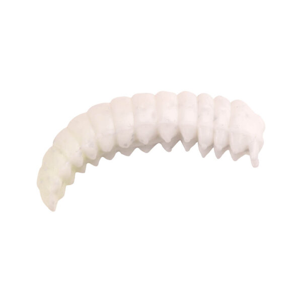 White /Shrimp