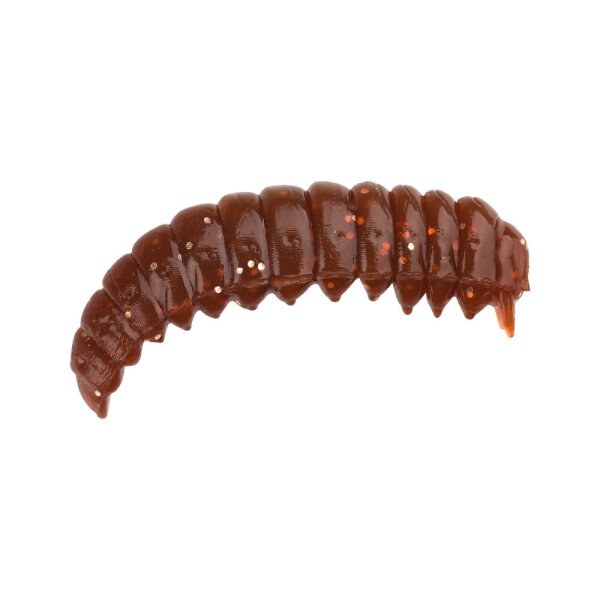 Worm / Shrimp