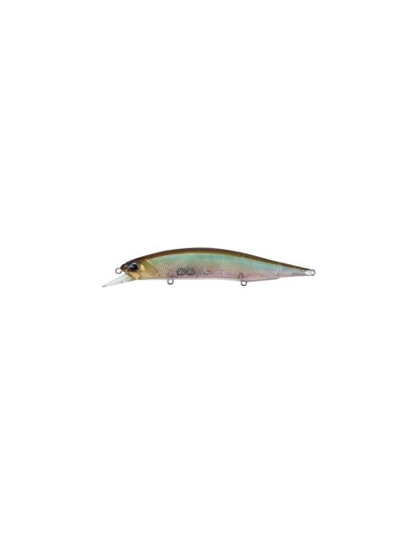 Ghost Minnow