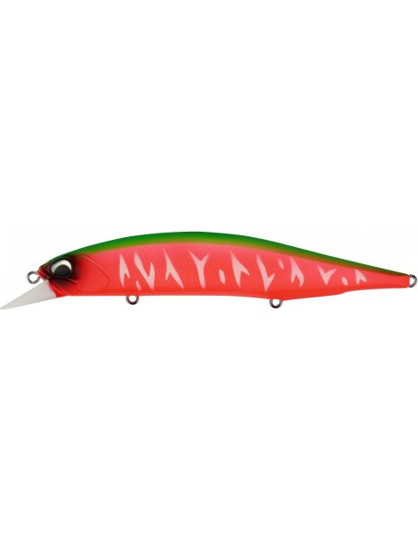 Dragon Fruit Tiger