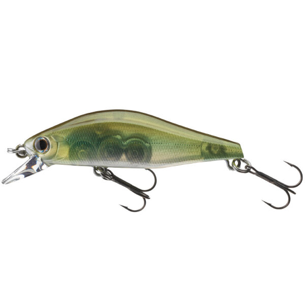 See Through Shad