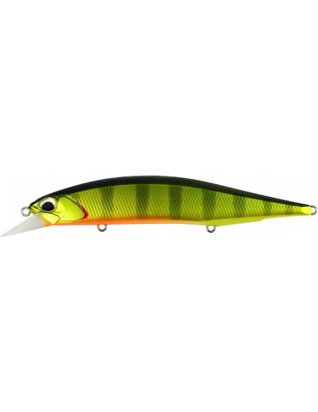 Gold Perch