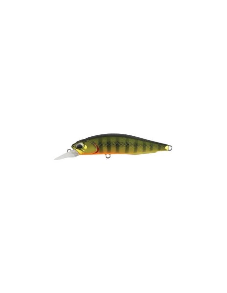 Gold Perch