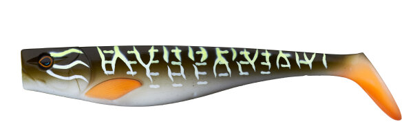 Nothern Pike