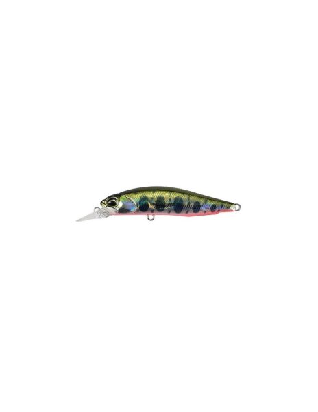Yamame Red Belly