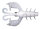 WHITE CRAW