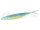 #129 RESERVOIR SHAD