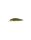 Gold Perch