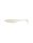 White Back Shad