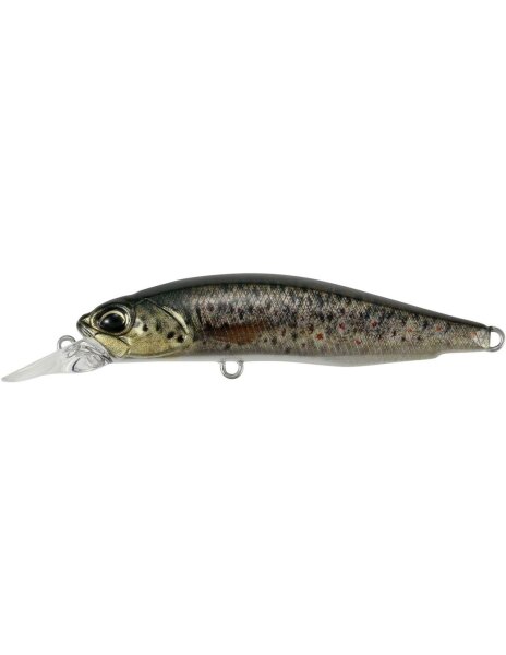 Brown Trout ND