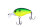 #05 Lime Chart