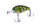 #16 Green Gill