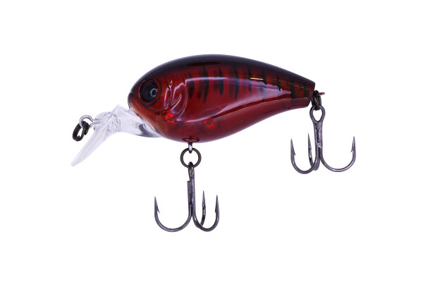 #17 SP Crawdad