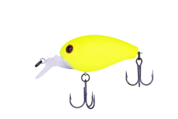 #29 High Lemon