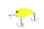 #29 High Lemon