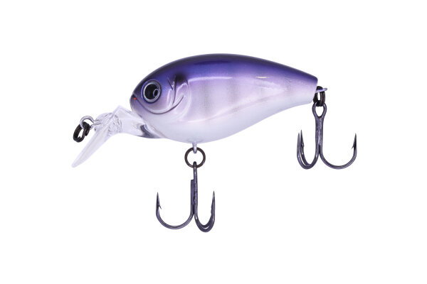 #34 Blue NO Gill