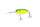 #05 Lime Chart