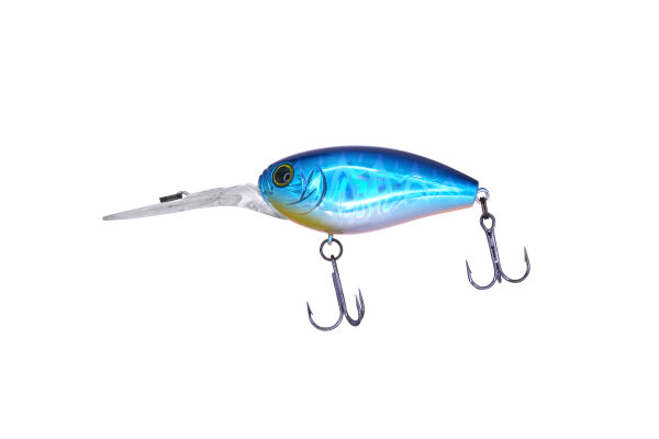 #19 Blue Thunder