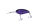 #40 Gan Grape