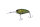 #46 HIDE Melon Shad