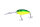 #05 Lime Chart
