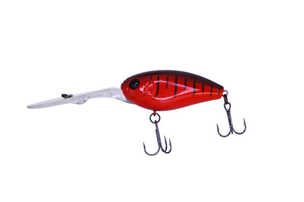 #07 Crawdad