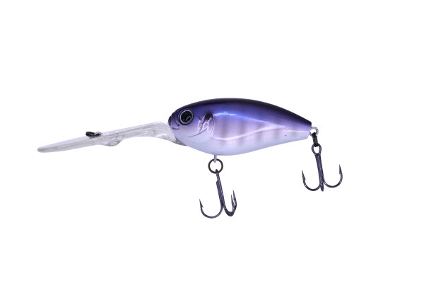 #34 Blue NO Gill