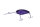 #40 Gan Grape