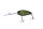 #46 HIDE Melon Shad