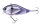 #56 Silver Shad