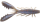 #116 Shinikake Gill