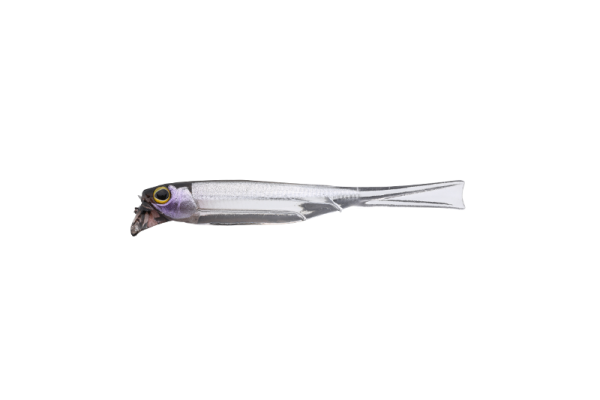 FLASHING SHAD