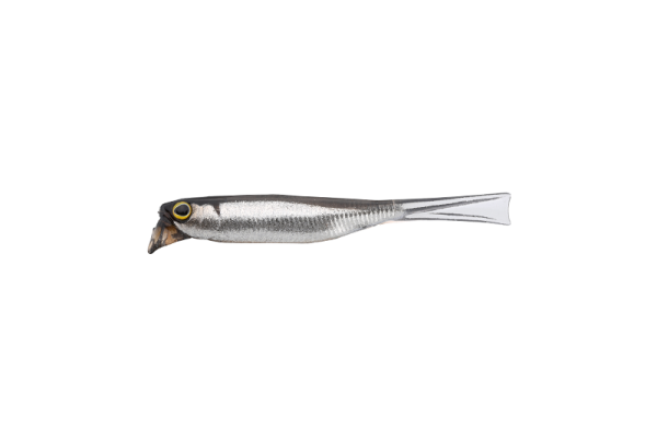 SILVER POWDER SHAD