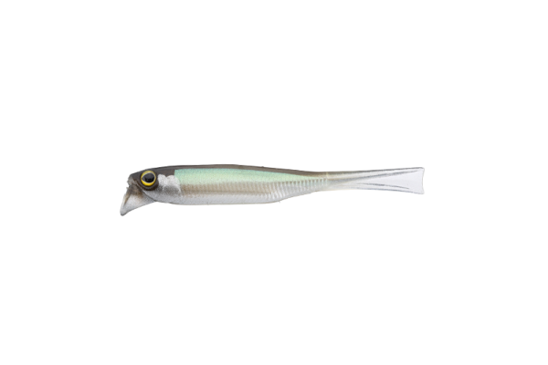 SWEET FISH