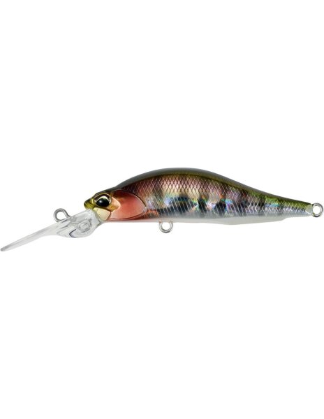 Prism Gill