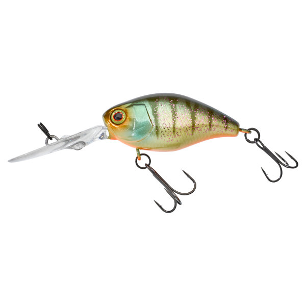 Aggressive Perch