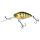 Perch