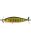 Gold Perch