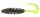 TRT5-TS421