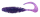 TRT5-TS165