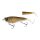 Bream