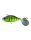Sight Chart Gill