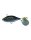 Black Smokey Shad
