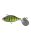 Sight Chart Gill