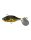 Black Gold OB