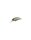 Ghost Minnow