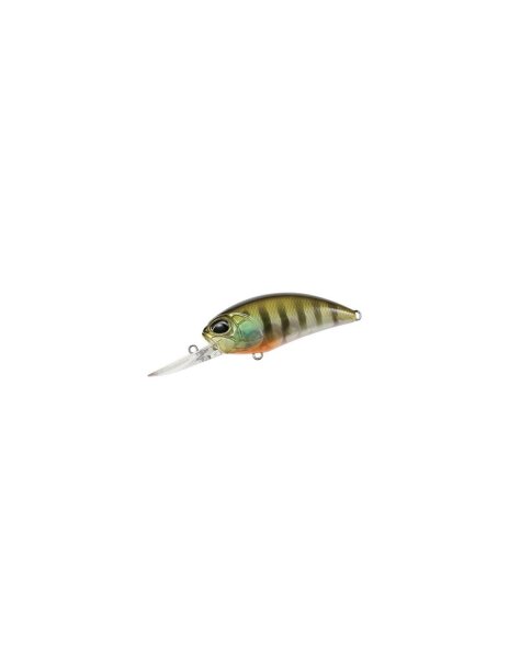 Ghost Gill