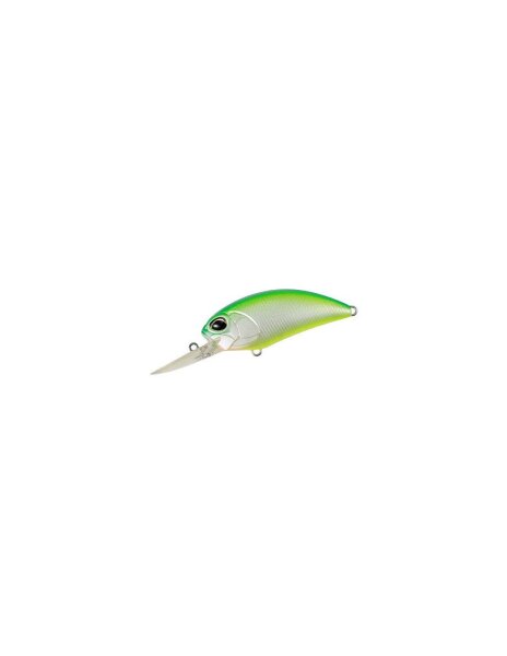 Citrus Shad